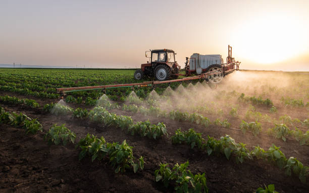 Best Pest Removal Services  in Blythe, CA