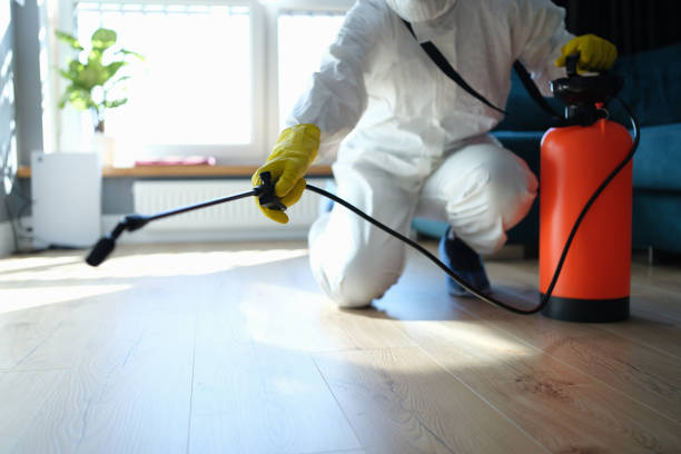 Best Flea Control Services  in Blythe, CA