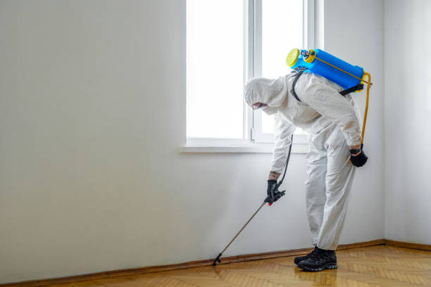 Best Local Pest Control Services  in Blythe, CA