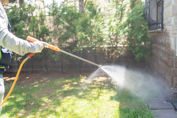 Best Local Pest Control Services  in Blythe, CA