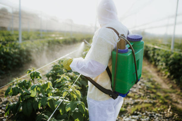 Best Pest Control for Businesses  in Blythe, CA